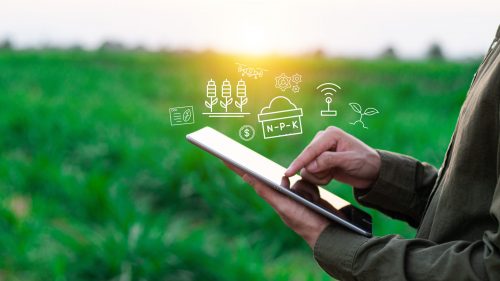 Farmers use agricultural technology in data analysis tablets and image icons. New technologies in agricultural business concepts. Men use tablets to research and develop plant varieties, agricultural